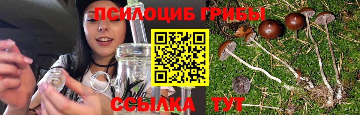 Галлюциногенные грибы прущие грибы Городец