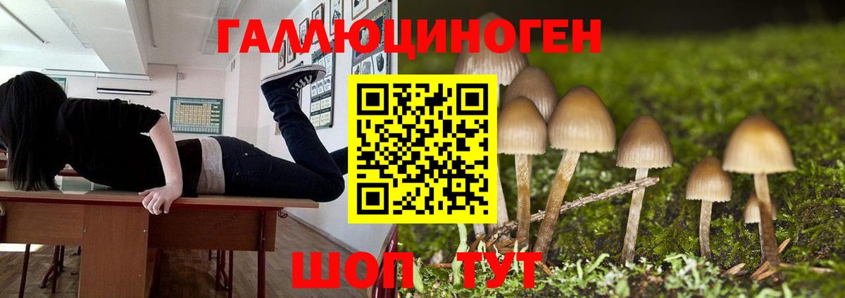 Городец  Псилоцибиновые грибы мицелий  Галлюциногенные грибы ЛСД  Вход с VPN 